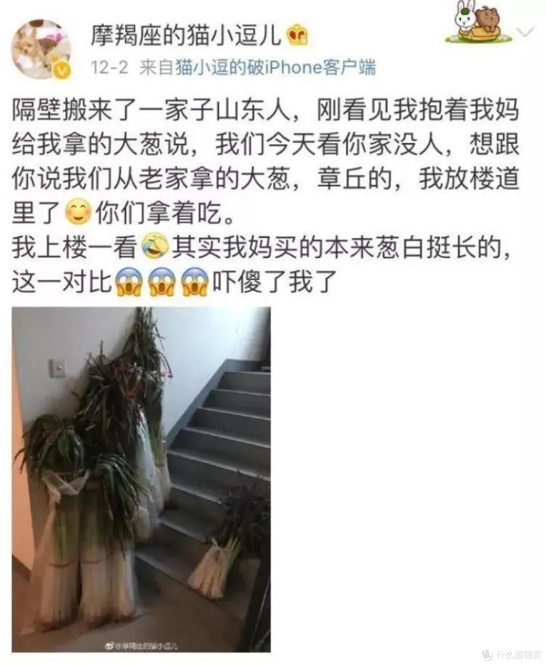 千万别跟山东人比“大”,你可能还没山东的一根葱高