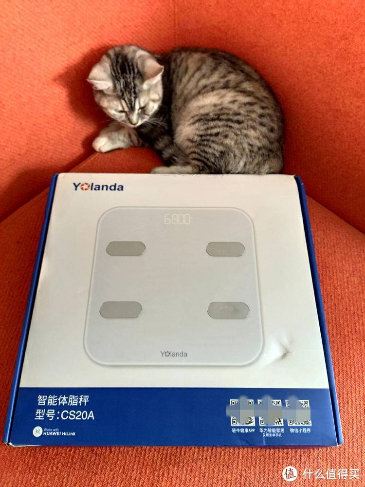 云康宝 Yolanda CS20A 智能体脂秤WiFi+蓝牙版 开箱及与 华为 CH18对比测试