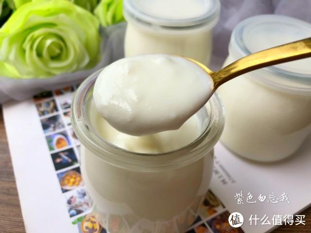 教你轻松自制酸奶，不要菌粉，只要加点它，口感醇厚又好喝