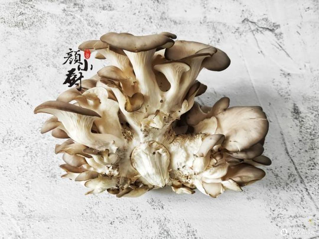 自从学会蘑菇这个做法,孩子天天吵着要吃,简单一做比肉还香!