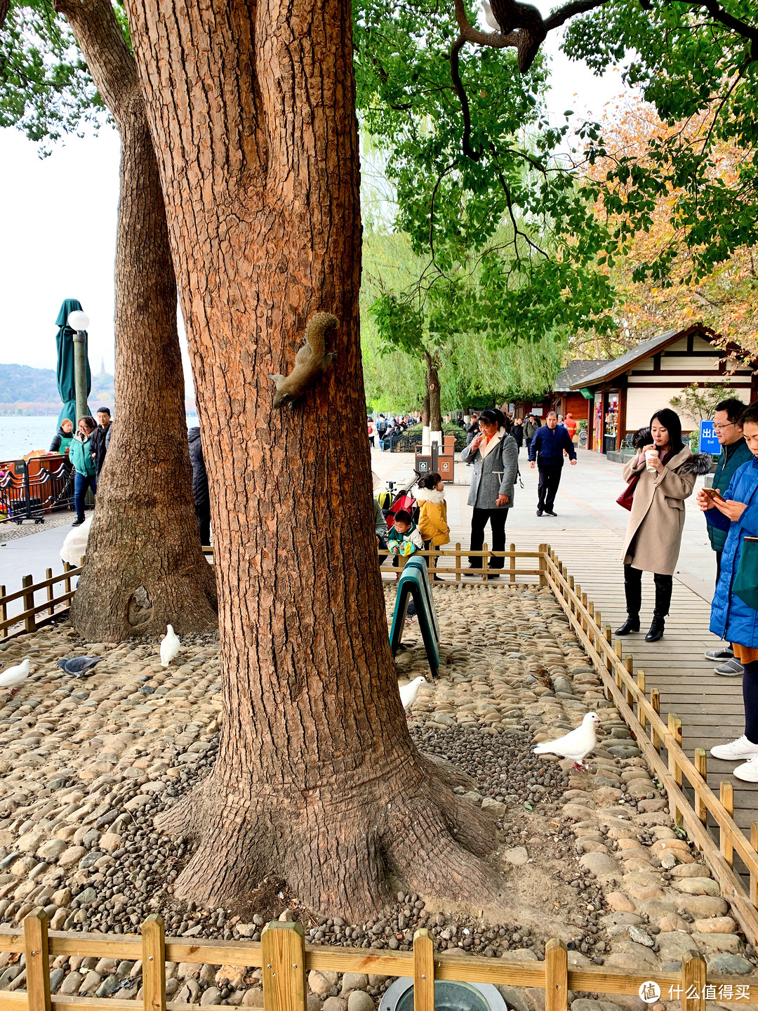 随心漫游杭州？说走就走的旅行！（附攻略优化）西湖&灵隐寺&胡雪岩故居…...