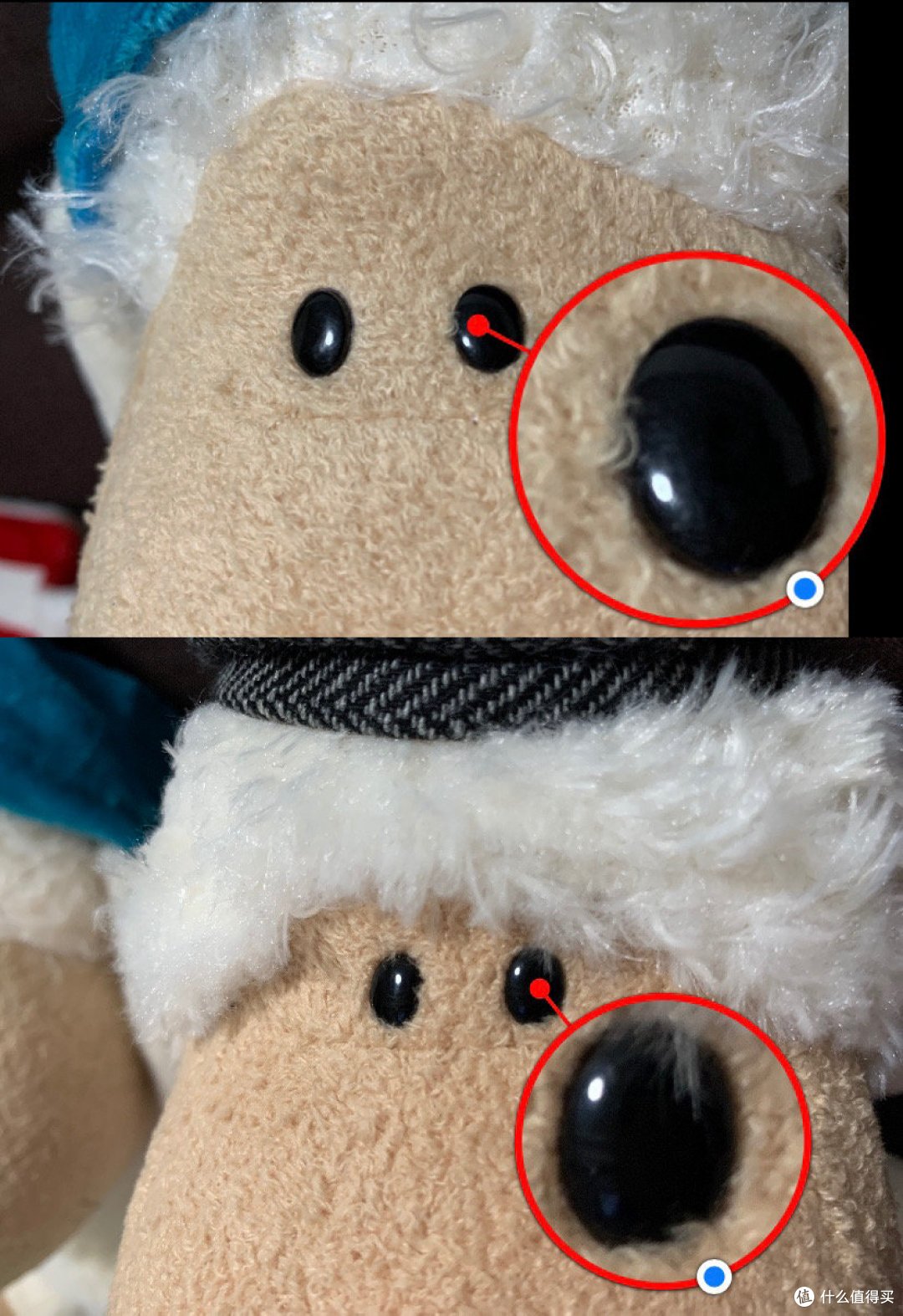 眼睛对比