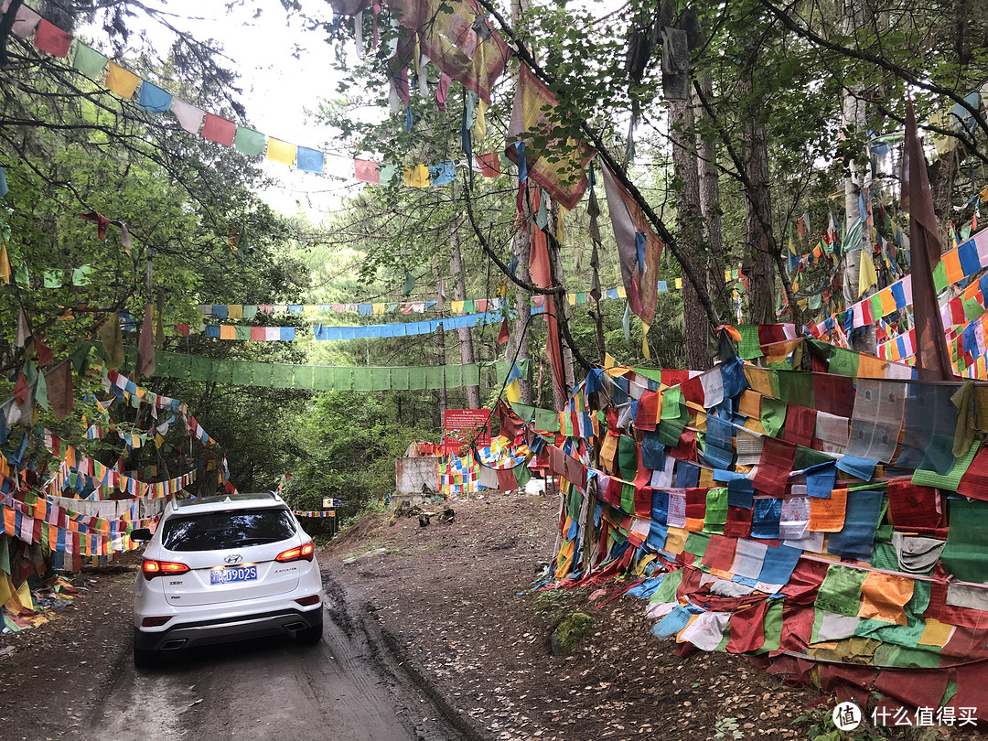 卓龙沟离县城只有七公里，跟着导航走，上山后基本是泥泞路，好在不算太崎岖，没有下大雨的情况下两驱SUV能够轻松上去。轿车建议不要前往，有几段石块路段是无法躲避一定托底盘的。