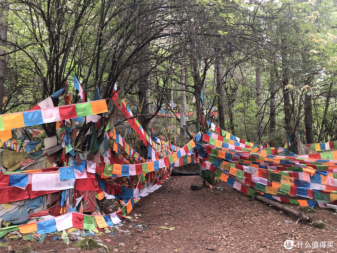 疫情云旅游,回忆记录2019自驾游之西藏行。
