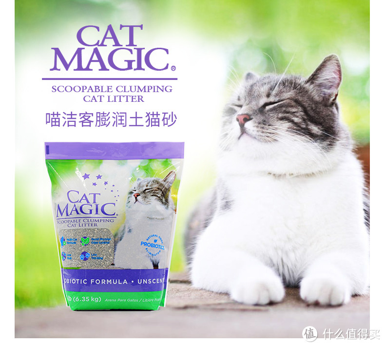 新手养猫指南——养猫一年我花了多少钱？看完我震惊了