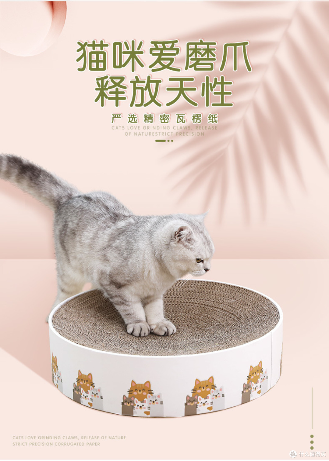 新手养猫指南——养猫一年我花了多少钱？看完我震惊了