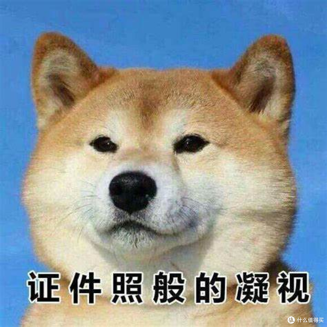 如何快速更换证件照底色?这里有4种不需要PS的便捷方法,记得收藏!