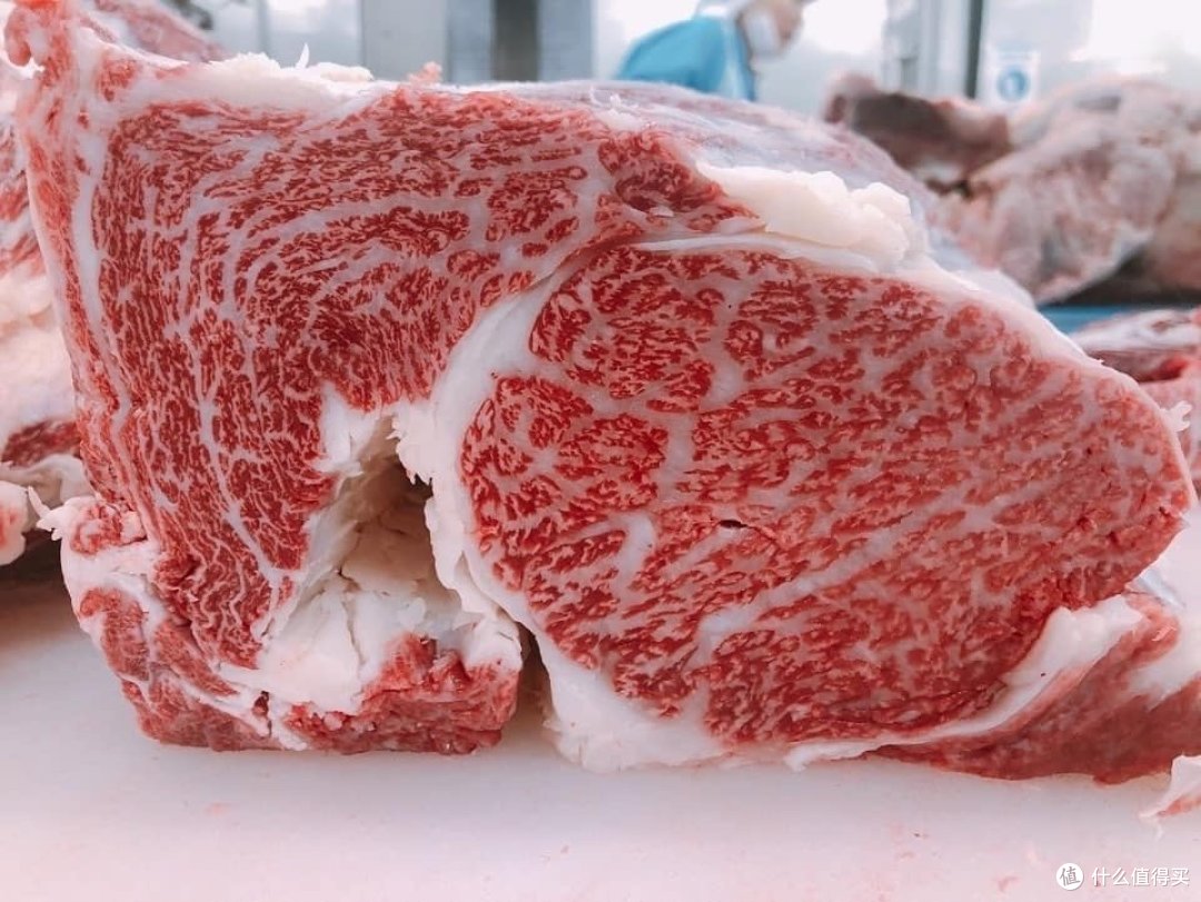 牛肉到底该吃新鲜的还是冷冻的