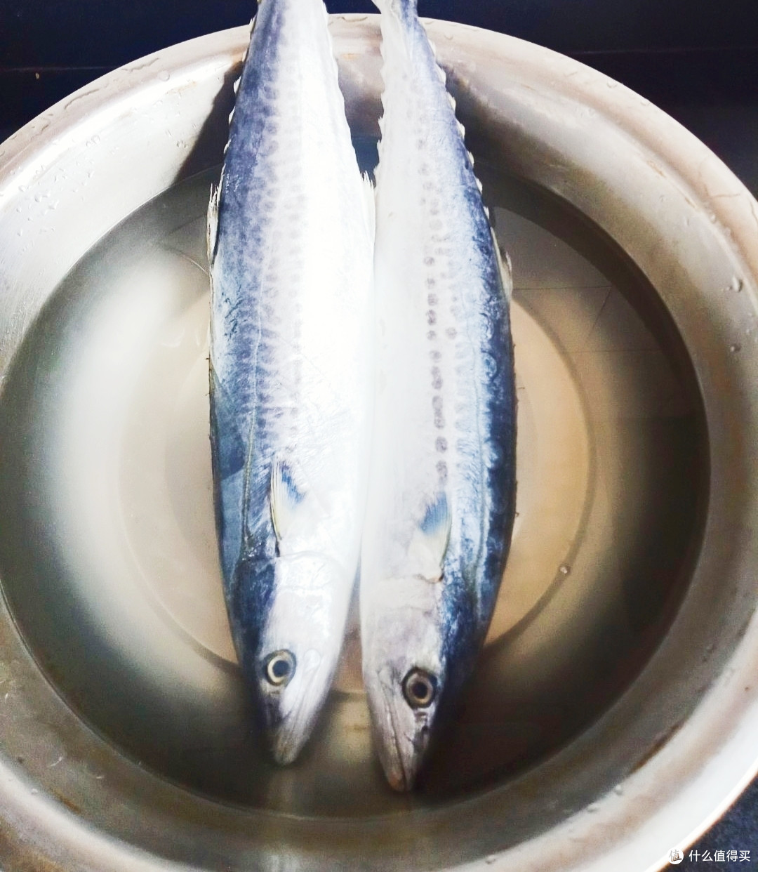 春天的美食、胶东的味道——鲅鱼水饺