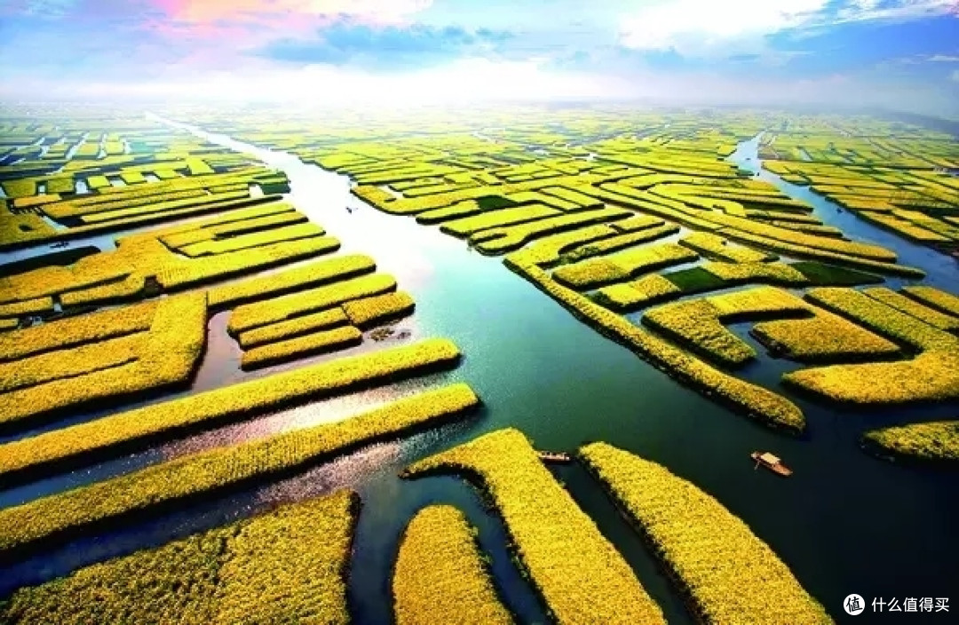 3月你好——赏油菜花海