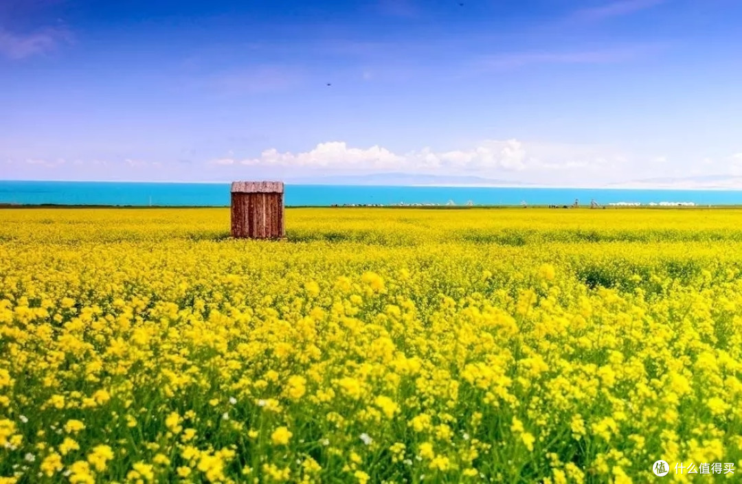 3月你好——赏油菜花海
