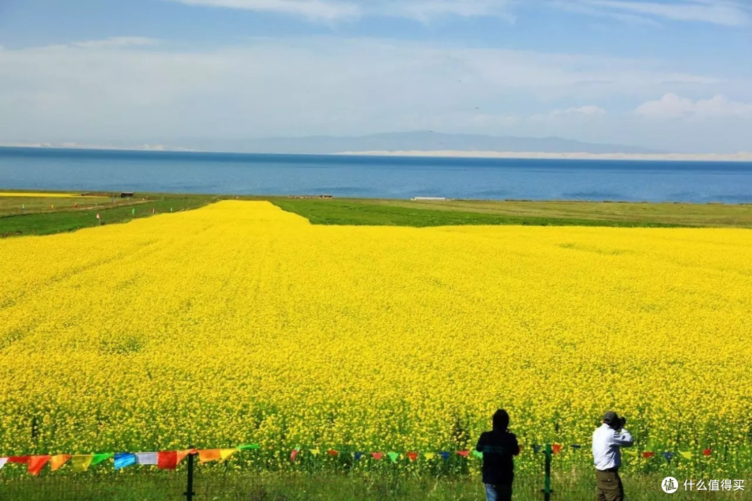 3月你好——赏油菜花海