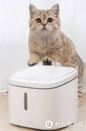 什么值得买之小顽智能宠物饮水机，主子们再也不用担心猫咪狗子不爱喝水，和喝水健康问题了