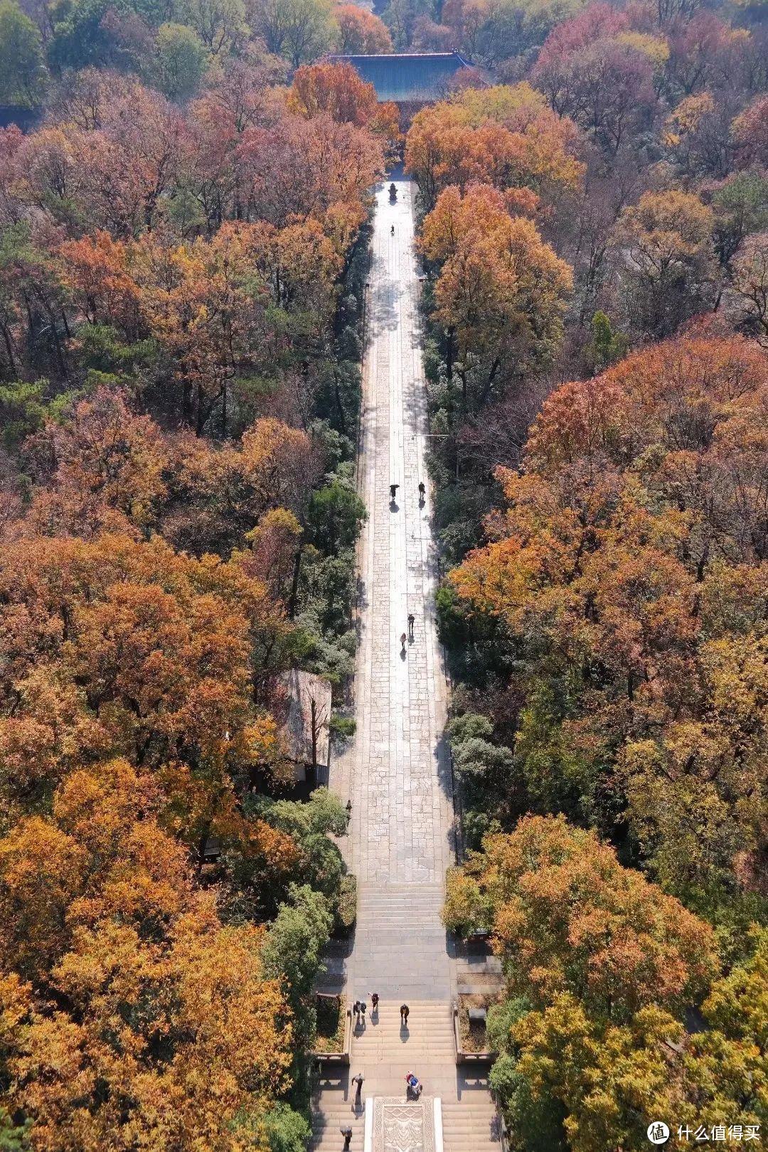 一文带你游遍南京 上篇：泊秦淮，游钟山