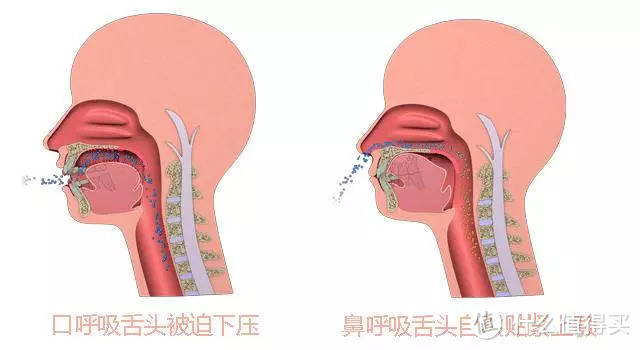 长期用嘴呼吸，真的会变丑嘛