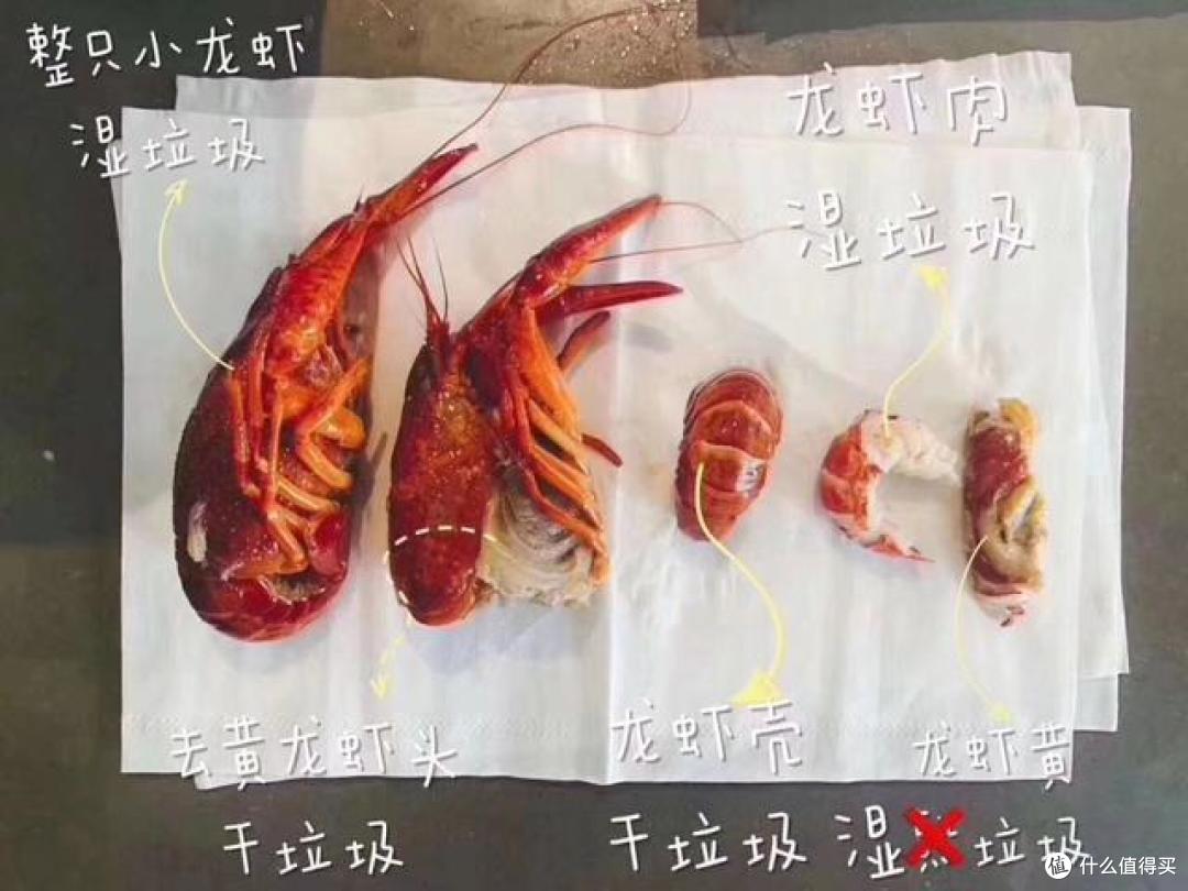 网图，侵删