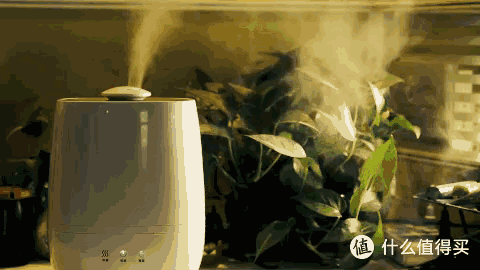 如何让家人更好“隔离”病菌——美的除菌宝消毒加湿器 评测