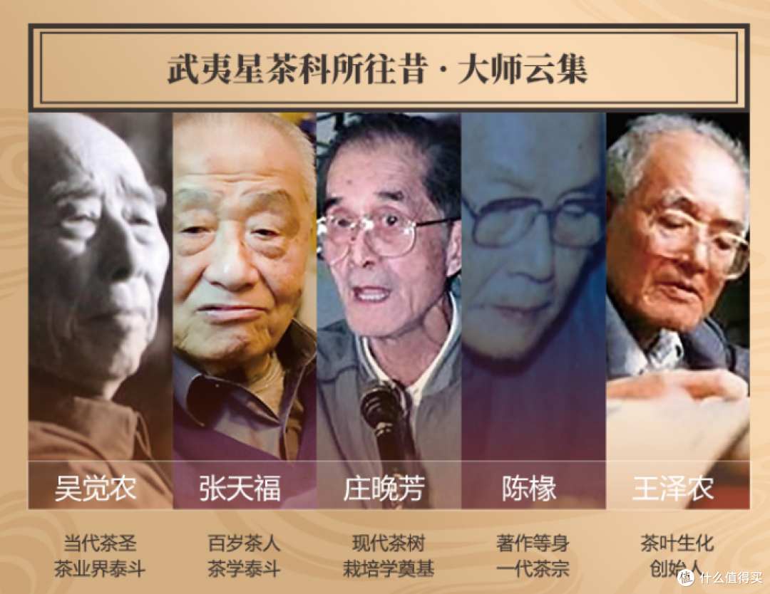 今日宜喝茶 | 百元价位的茶叶有哪些值得喝