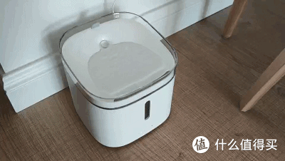 小顽智能宠物饮水机体验:水电分离安全结构 开启科技养宠新方式