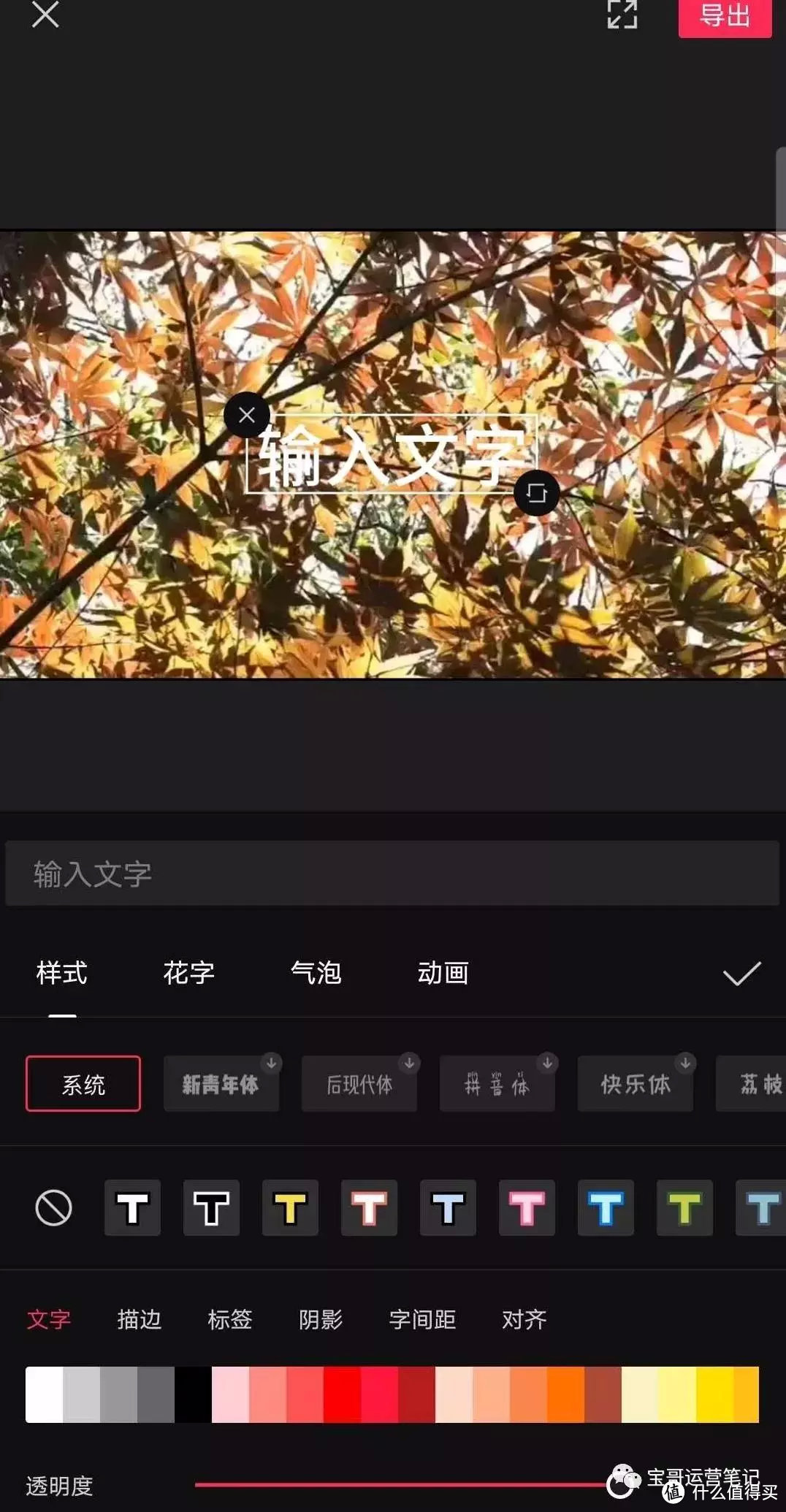  零基础玩转短视频，也许你就下一个李子柒~