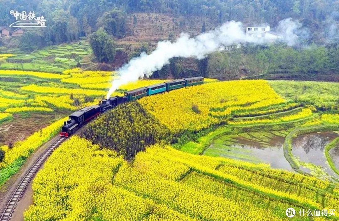 下半年在国内火车旅行吧，这或许是个出行的新思路