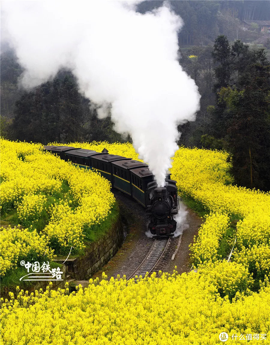 下半年在国内火车旅行吧，这或许是个出行的新思路