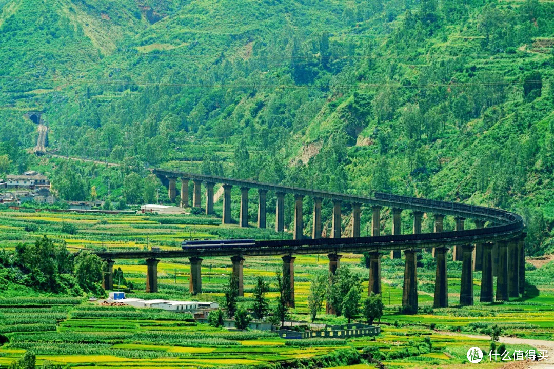 下半年在国内火车旅行吧，这或许是个出行的新思路