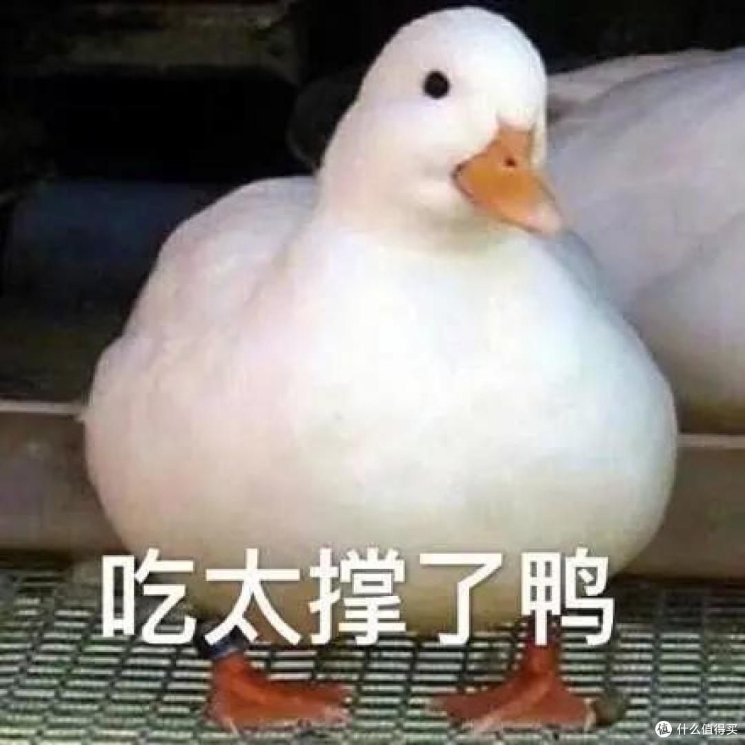 街边18块一只的廉价烤鸭,到底能不能吃?