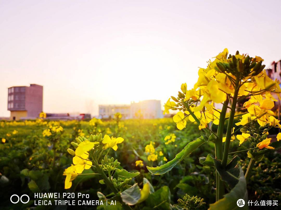 晴空万里，我辈必将扶摇而上；花好月圆，大地必回人间天堂。