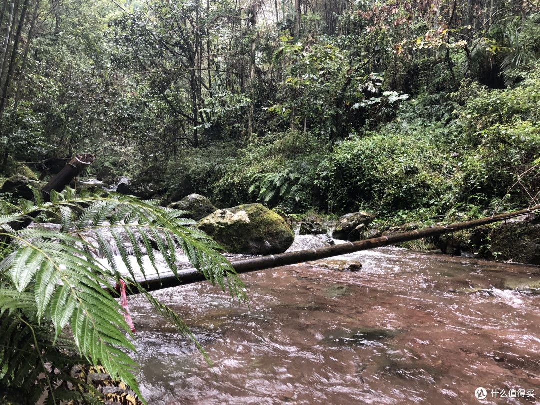 回忆之仙居县公盂村(浙江的香格里拉)