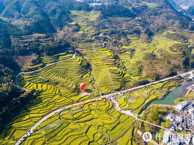 人民网点赞，距南京不到3h，中国最美水上油菜花田，终于藏不住了