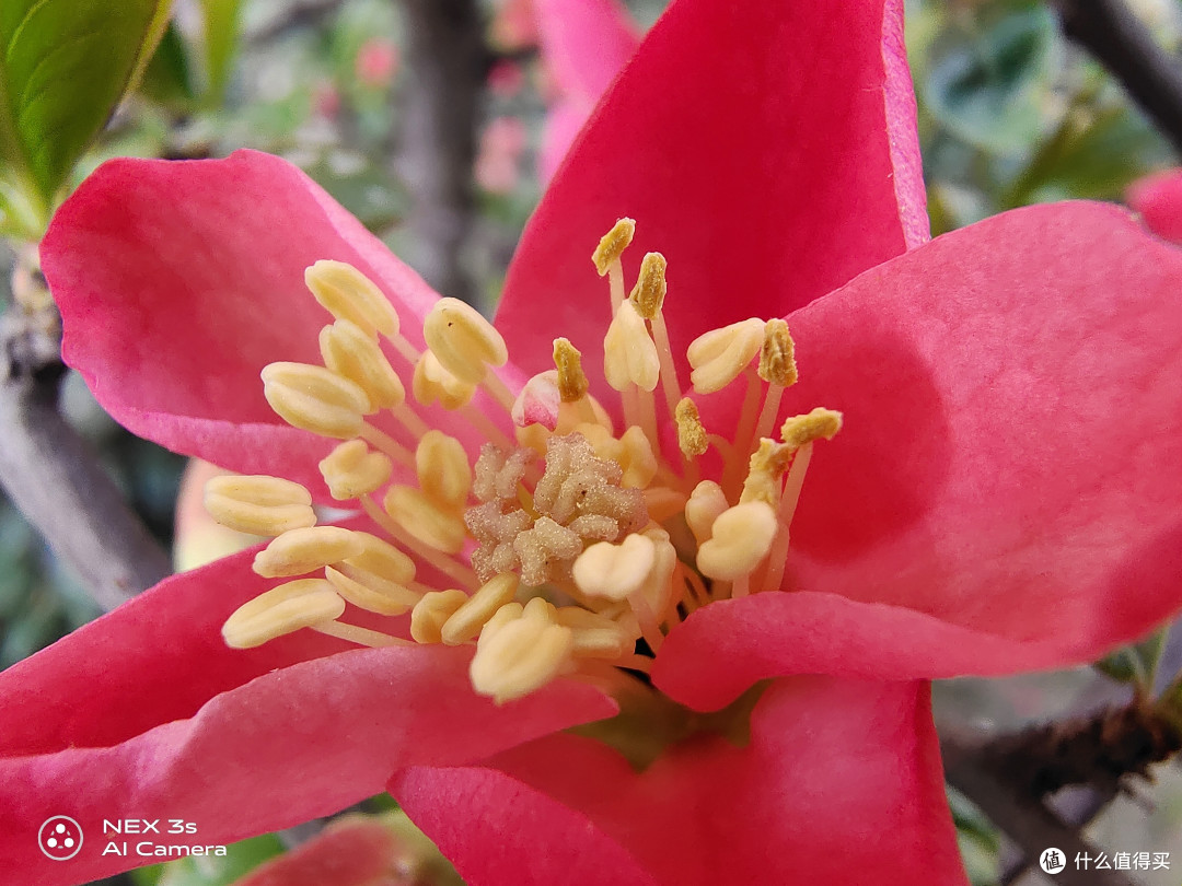 vivo NEX3 S详细评测:未来旗舰机该是什么样子?
