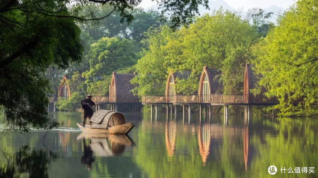 能够带着宠物去旅行，也太幸福了吧