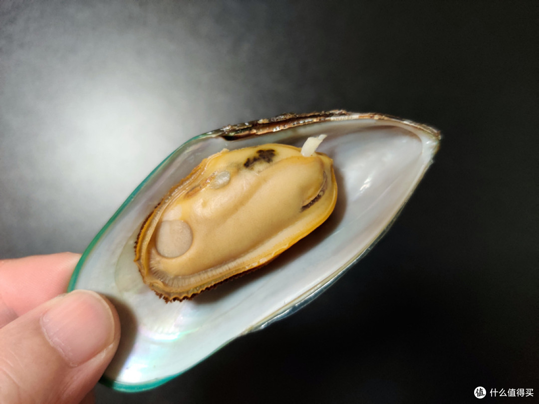 新西兰进口青口贝试吃