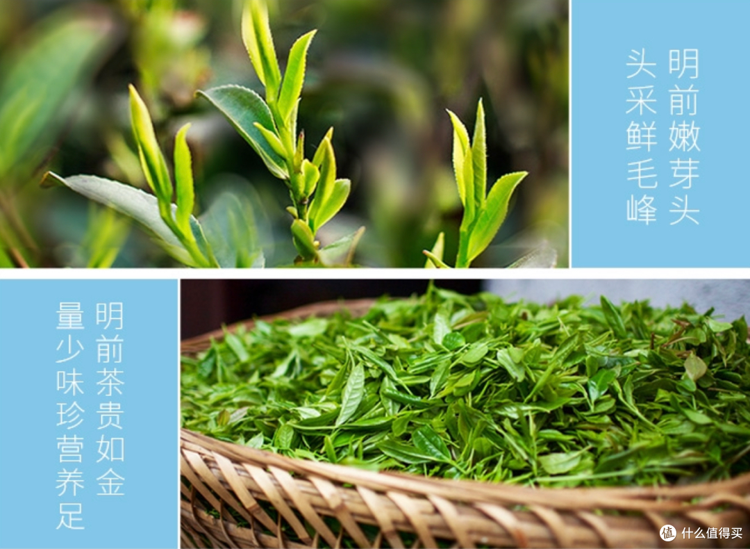 名山出名茶,新茶知时节——聊聊黄山毛峰和口粮新茶徽六寻味800
