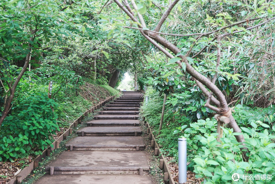 林荫小道，坡度都不大，而且台阶很矮，比较舒服，不会出现一步夹裆，二步劈叉的感觉