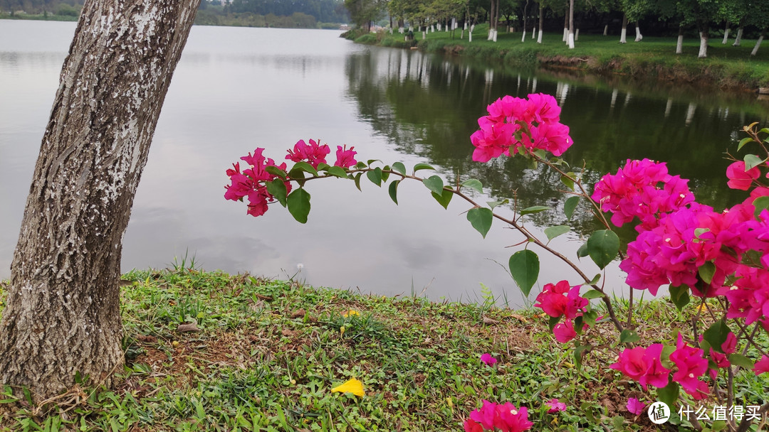 疫情散去，春暖花开踏青正当时，出行前这些东西一定要带上