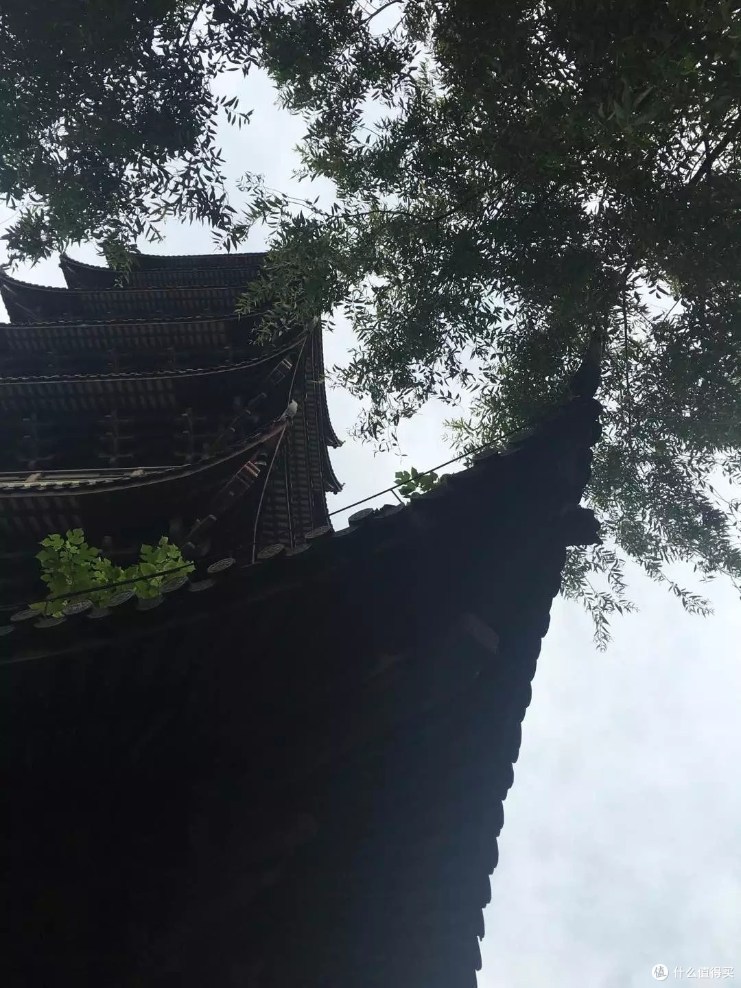 大男孩的快乐---随时去想去的地方