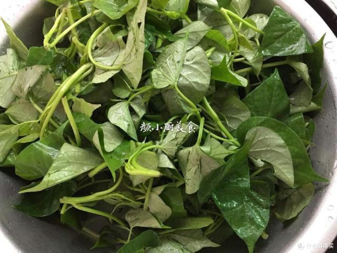 它是天然“长寿菜”,常吃通便解毒抗衰老,还能提高免疫力