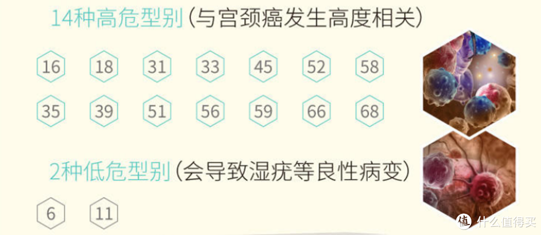 3种HPV疫苗如何选择?| 干货指南