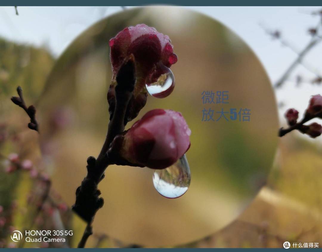 荣耀30S又把拍照玩出花,6400万全焦段AI四摄实测体验