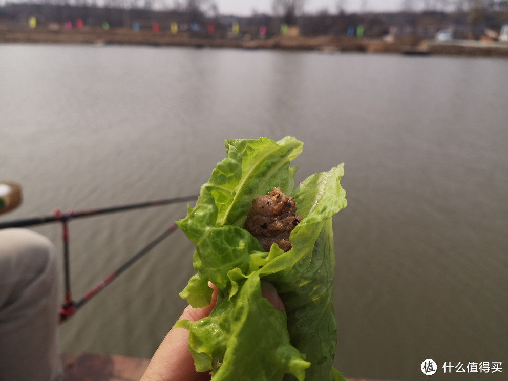 这是一篇值得买张大妈给的快乐！大男孩开心到起飞！户外烤肉香