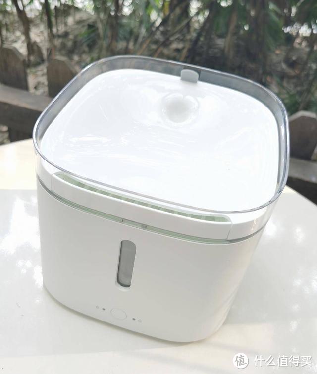 铲屎官们的福利,这个小顽神器让家里宠物不再顽皮