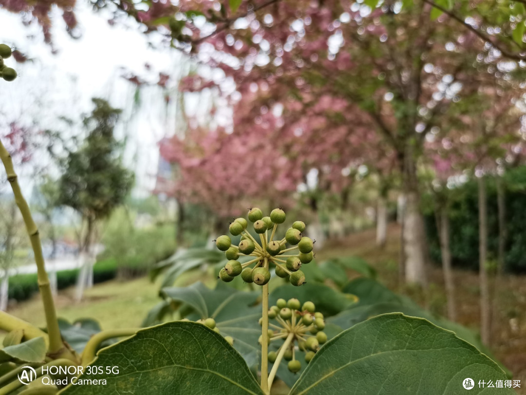 荣耀30S评测:全新5G芯片麒麟820降维打击,荣耀30S尽显强者风范!