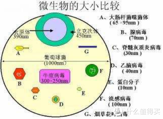 三秒速热喝到健康水   全家一台净饮机就够了