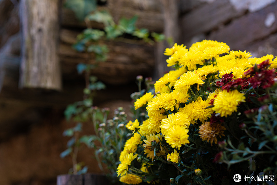 适马（SIGMA）ART 70mm F2.8 DG MACRO 微距镜