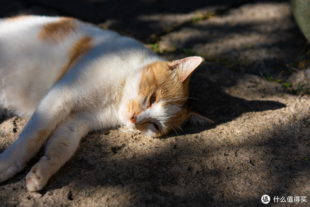 适马（SIGMA）ART 70mm F2.8 DG MACRO 微距镜