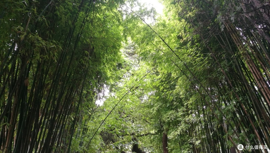 这些年走过的城市与山水——抚仙湖、昆明篇