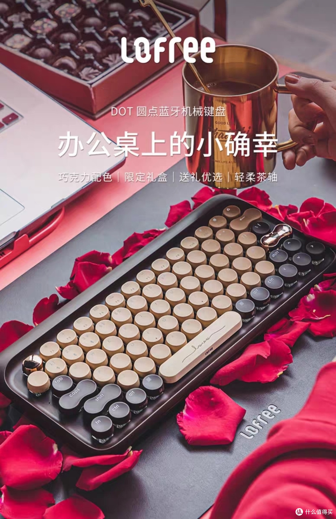 洛斐