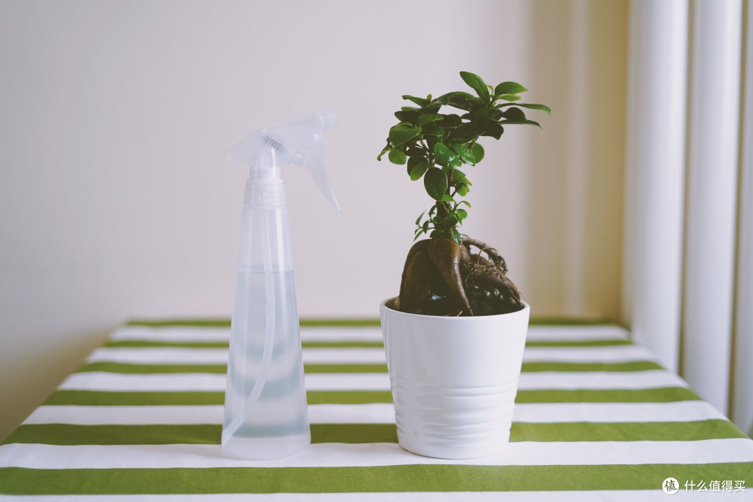 宜家34件白菜价神仙好物推荐 均价不足14 9元的白菜价宜家好物 什么值得买